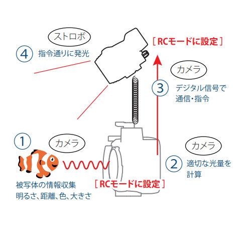 1 fisheyeʥեå奢 30572/30573 AOI-UCS-Q1-RC ȥ饳ѥȥȥ RC ǥ奢Хåƥ꡼㡼㡼å