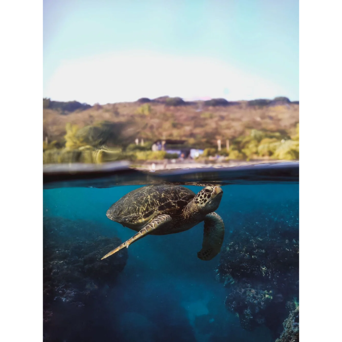 fisheye（フィッシュアイ） 21682 DIVEVOLK DLW03D ドームレンズ