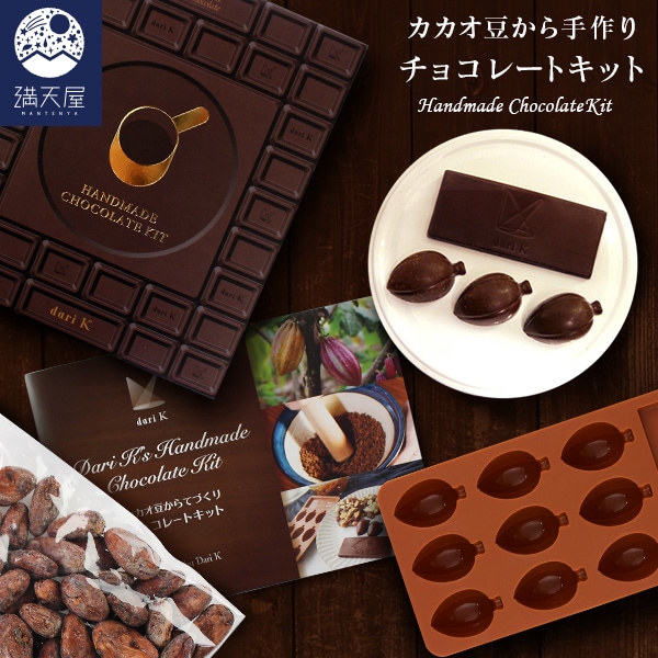 カカオ豆から手作りチョコレートキット 生カカオ豆、ブックレット