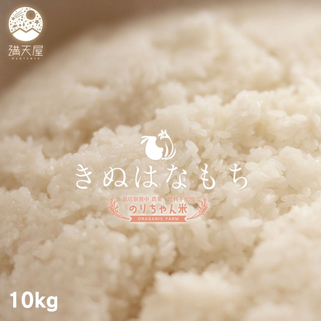 ��­�����ۤΤ������� ����� (���̤Ϥʤ��) 10kg ����7ǯ�� ����ݴ����� �����������Ի��ѡ�