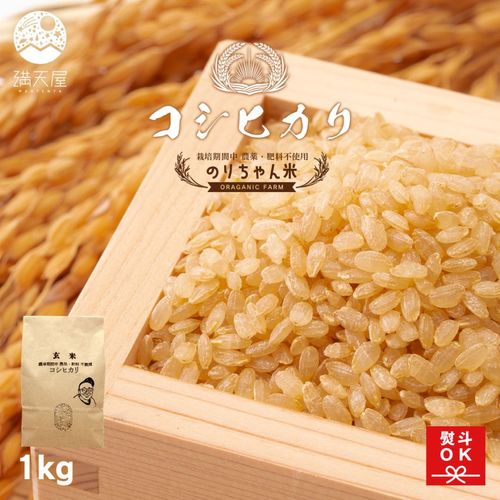 �Τ������� ���� (�����ҥ���) 1�� ����7ǯ�� ����ݴ����� �����������Ի��ѡ� �Τ��б�