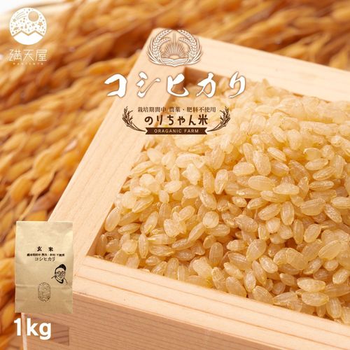 �Τ������� ���� (�����ҥ���) 1�� ����7ǯ�� ����ݴ����� �����������Ի��ѡ�