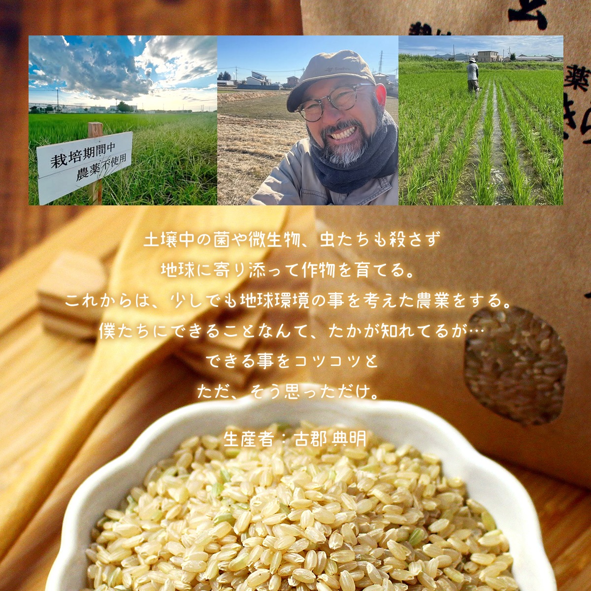 ��­�����ۤΤ������� ���� (�ˤ��Τ���᤭) 10kg ����7ǯ�� ����ݴ����� �����������Ի��ѡ�