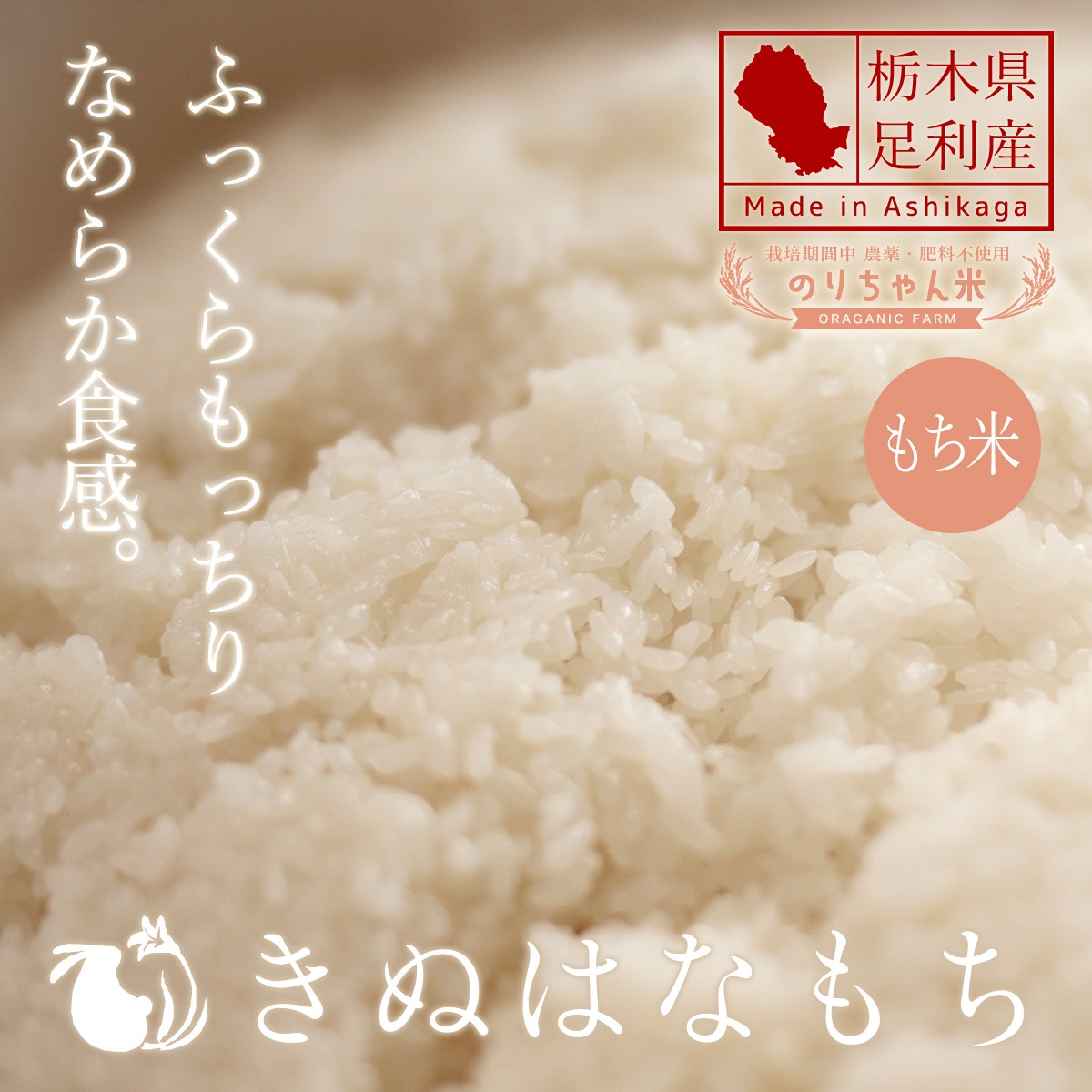 ­ۤΤ  (̤Ϥʤ) 5kg 6ǯ ݴ Իѡ