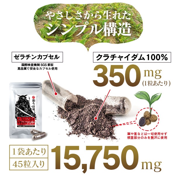 ����饤��������㥤���� 45γ ��2�ĥ��åȡ���1����ʬ��