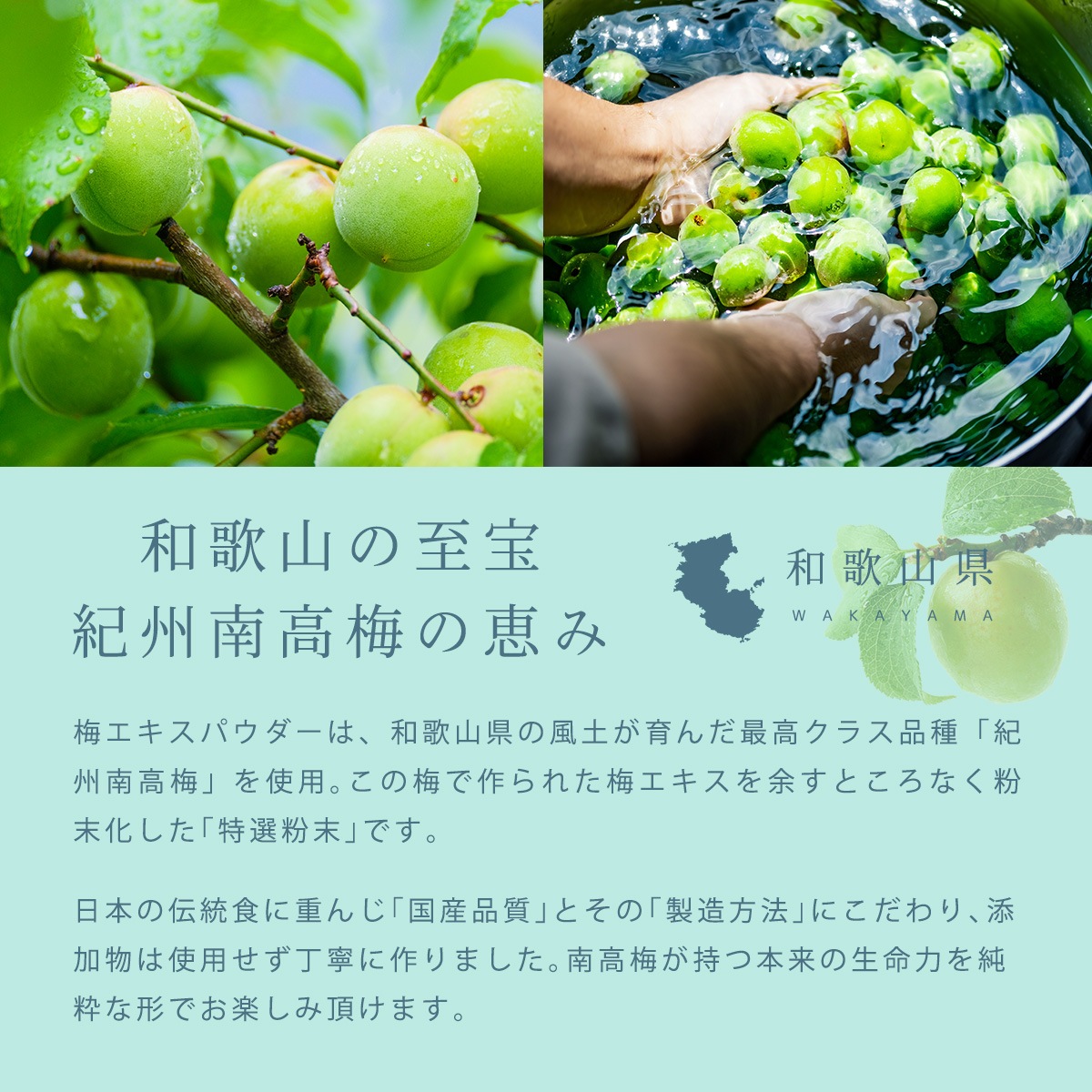 ������ʴ���۵��� ����� �ߥ������ѥ����� 30g