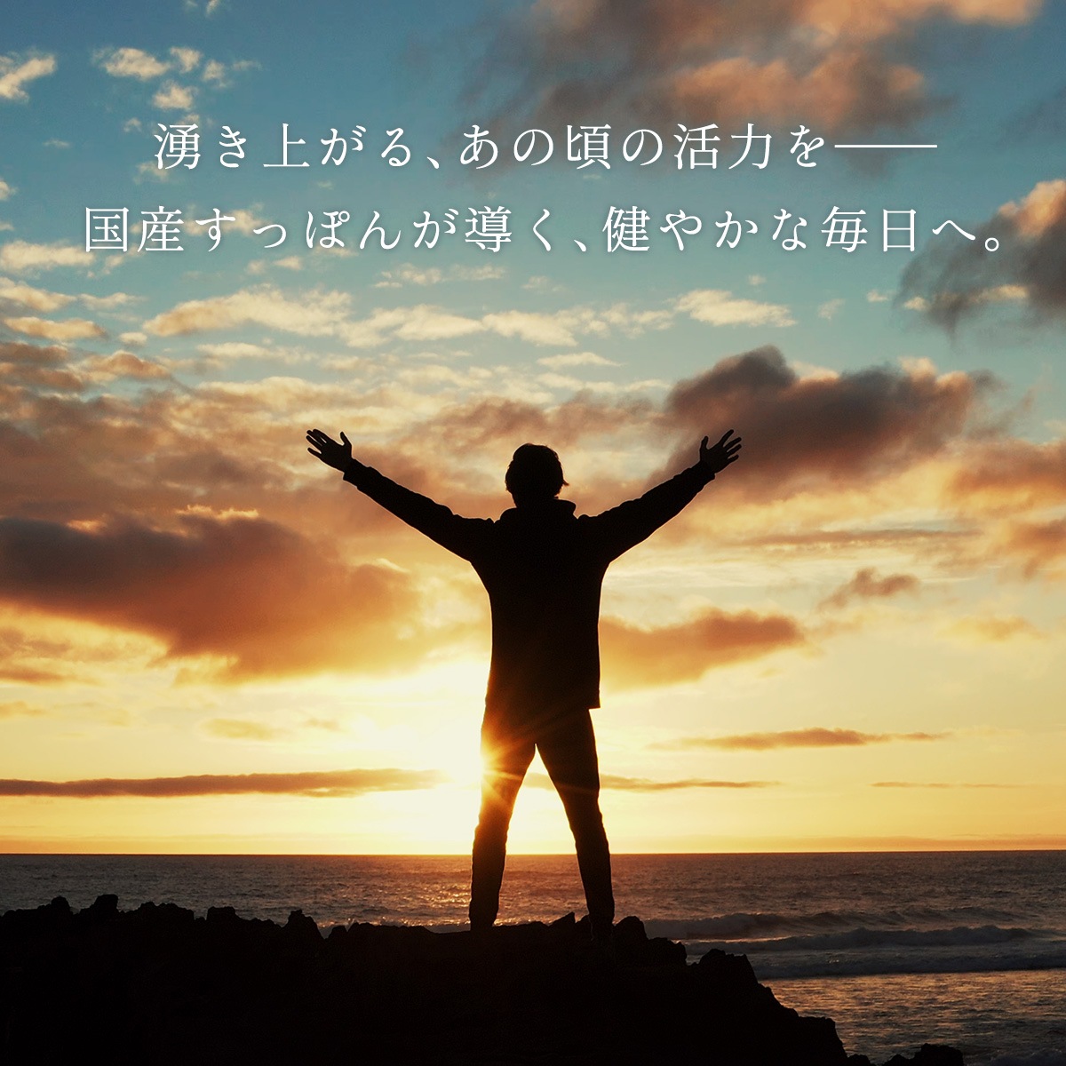 ������ʴ���۹� ���äݤ�Υ������ѥ����� 30g