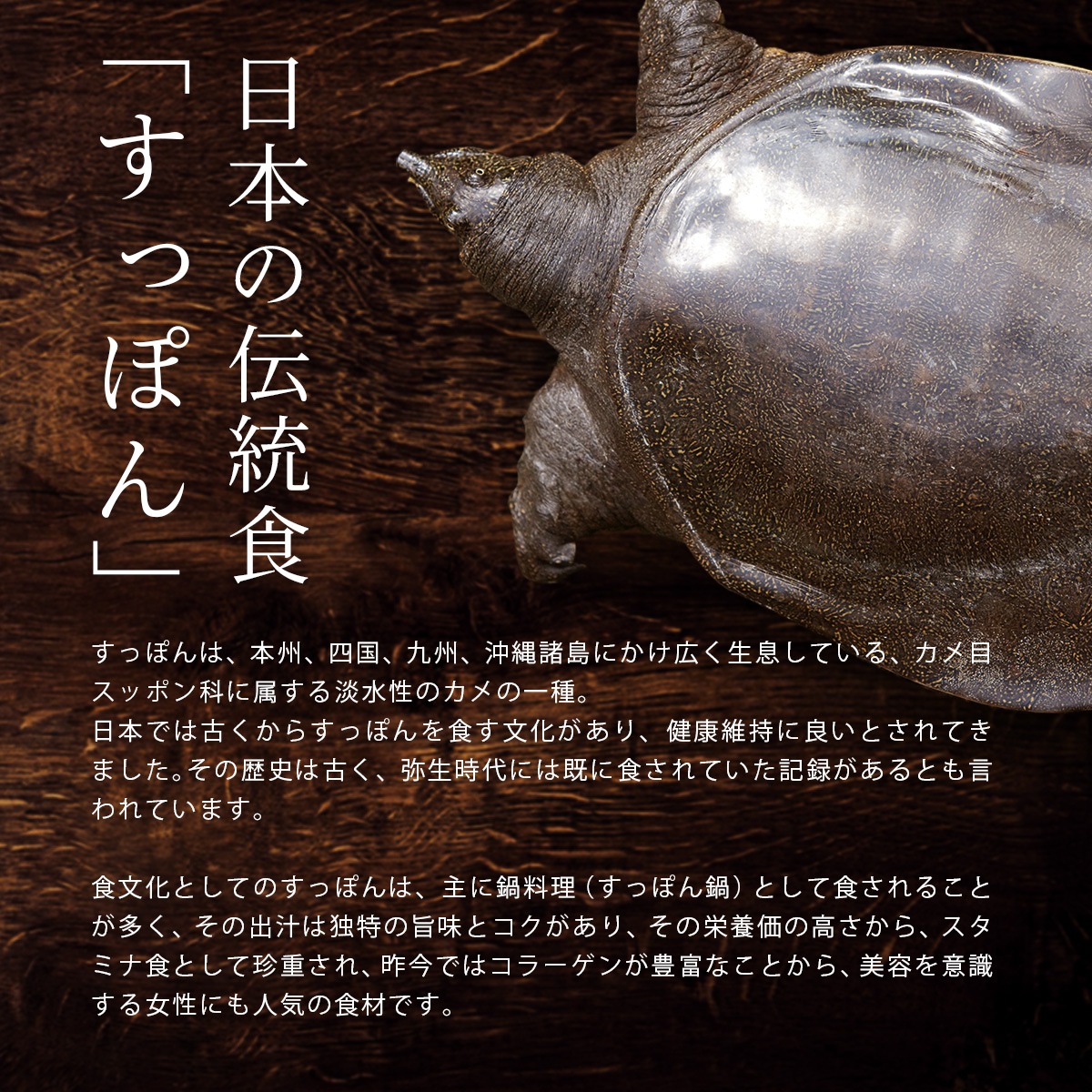 ������ʴ���۹� ���äݤ�Υ������ѥ����� 30g