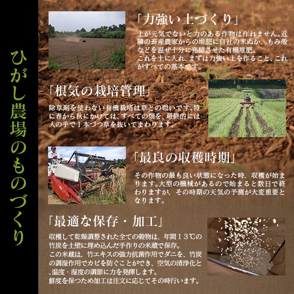 ���ܸ��� ��A�����ֿ��Τ��ޤ���� ͭ���� 5kg