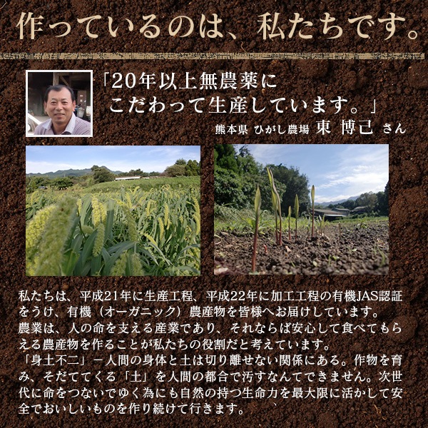 ���ܸ��� ��A�����ֿ��Τ��ޤ���� ͭ���� 5kg