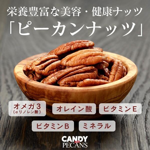 �����ǥ��ԡ�����ʥå� ����å��奿���� 600g