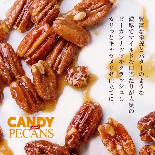 �����ǥ��ԡ�����ʥå� ����å��奿���� 600g