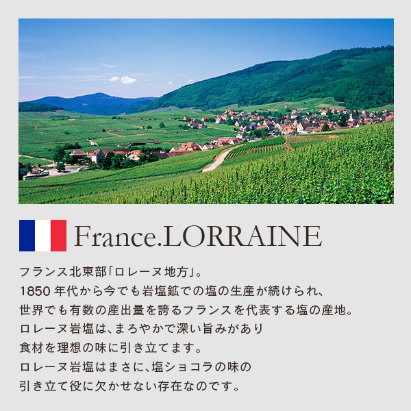 �������ɱ����祳�� 200g + �����塼�ʥåı����祳�� 200g