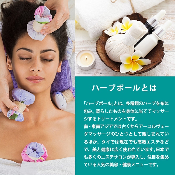 �ϡ��֥ܡ��� �ϥ�ɥᥤ�� ���å� �ϡ��Х�ܡ��� 2��ʬ�ڢ�2024ǯ12����ܤ��缡ȯ������ͽ���