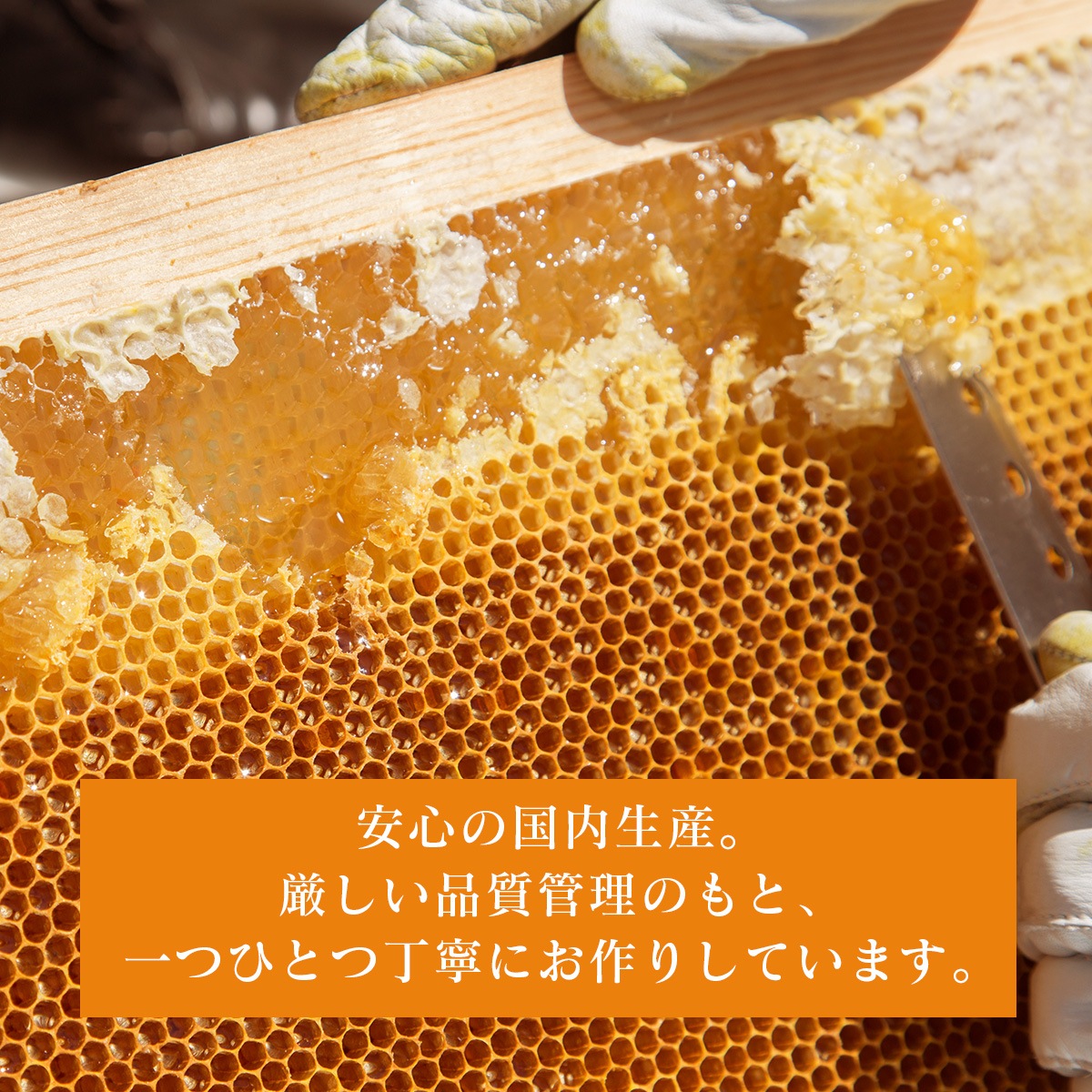 �Ϥ��ߤĥѥ����� �� �񻺤Ϥ��ߤ��������ѡ� HONEY POWDER 200g�� ˪̪ ʴ�� ��̣�� ��