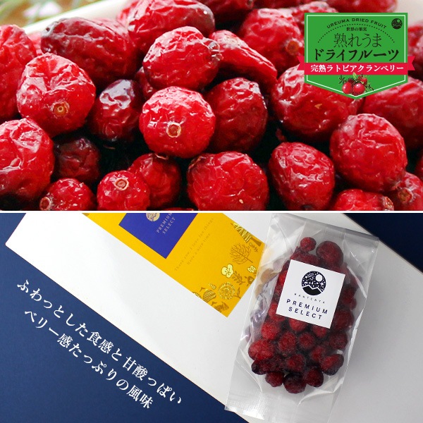 ڥեȥåȡۥɥ饤ե롼6ȥХե饤ԡ ϡ֥ƥΥեȥå