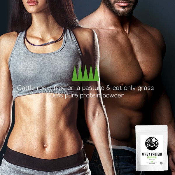 �ۥ����ץ��ƥ��� ���饹�ե��å� (�ץ졼��) 1kg(500g��2�ĥ��å�)