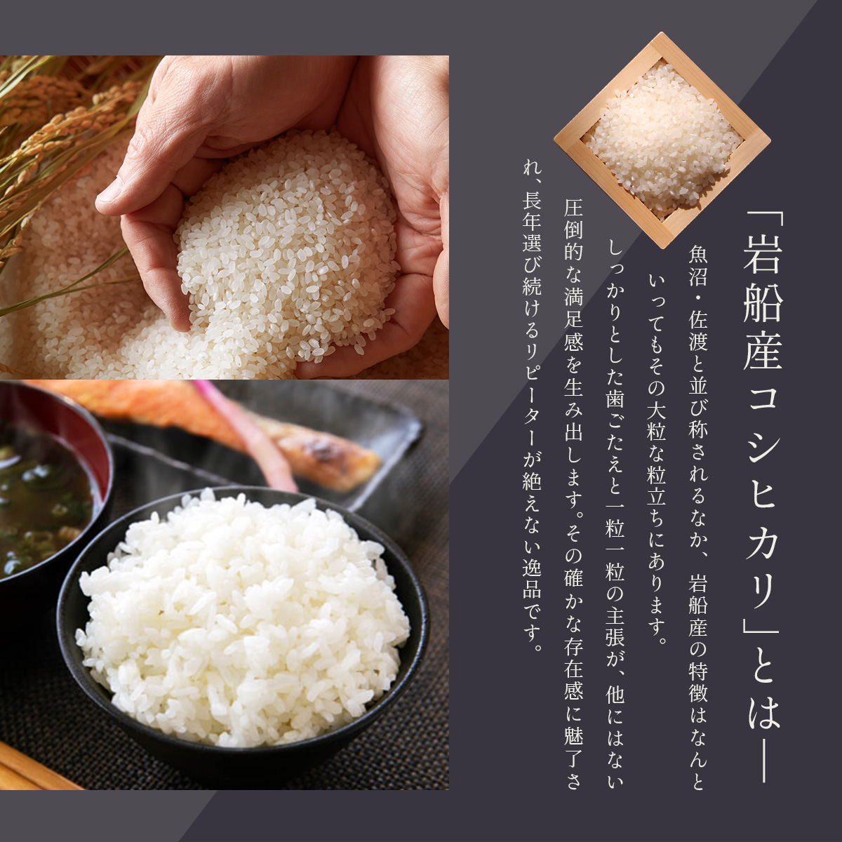 ���㸩 �����������ҥ��� 5kg ����7ǯ�� �Τ��б� ����ŷ��-MANTENYA ����ľ������᥻�쥯������