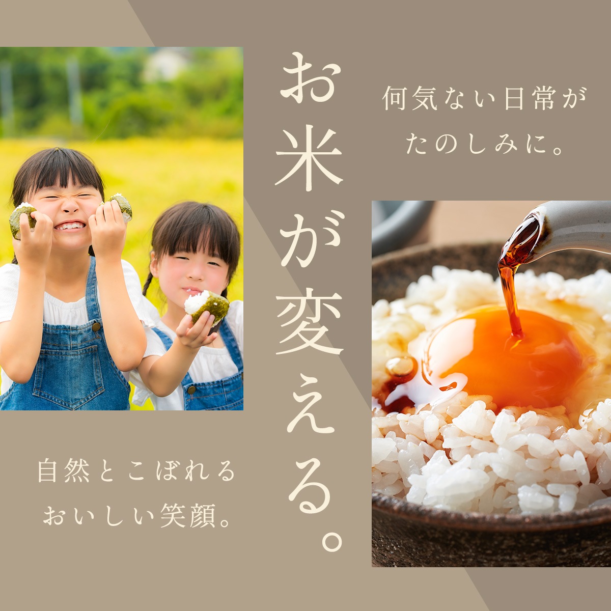 ���㸩 �����������ҥ��� 5kg ����7ǯ�� �Τ��б� ����ŷ��-MANTENYA ����ľ������᥻�쥯������