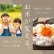 ���㸩 �����������ҥ��� 5kg ����7ǯ�� �Τ��б� ����ŷ��-MANTENYA ����ľ������᥻�쥯������
