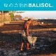 BALIOSOL.ʥХ꥽ˡХŷŷ 160g