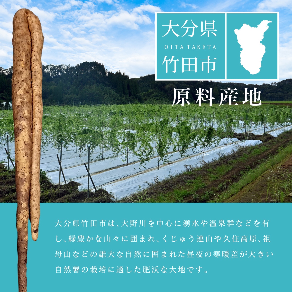 ����äȤޤ뤴�ȼ����� �� �� ���ͤ󤸤�ѥ������� 100g