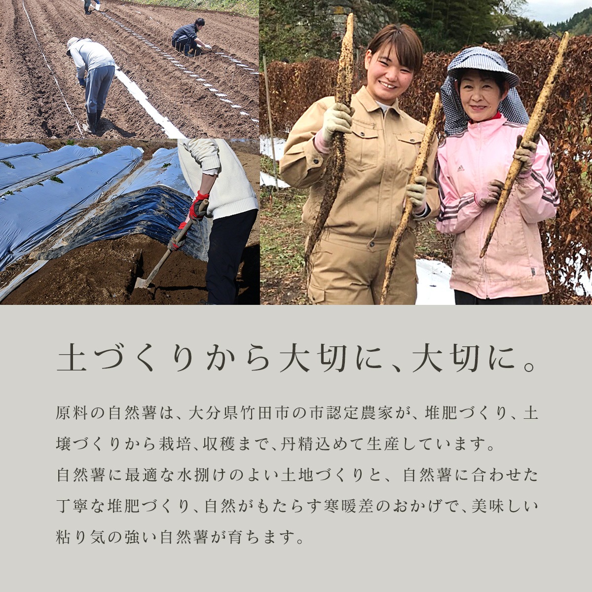 ����äȤޤ뤴�ȼ����� �� �� ���ͤ󤸤�ѥ������� 100g