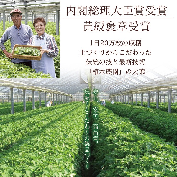 ���եѥ����� 20g