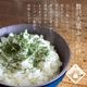 �� ���եѥ����� 20g �� ��ʬ���� ���������þ޼��� ����� �� 