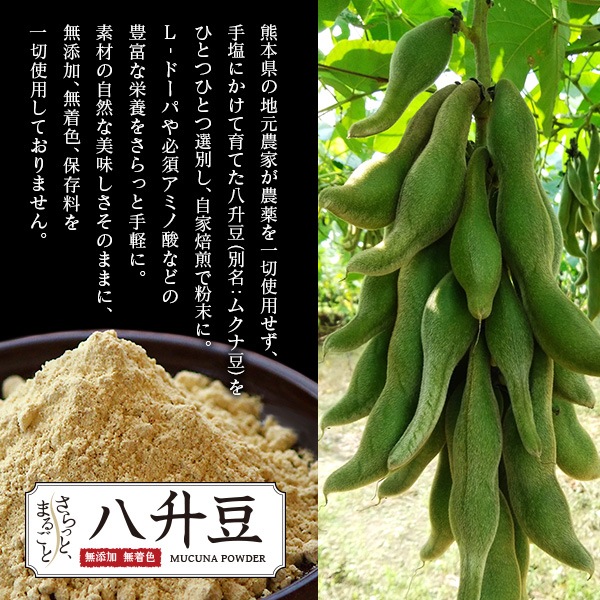 ����äȤޤ뤴��Ȭ��Ʀ (�Ϥä��礦�ޤ�) �� �� Ȭ��Ʀ�ѥ����� �� 100g��50g��2�ޡ�