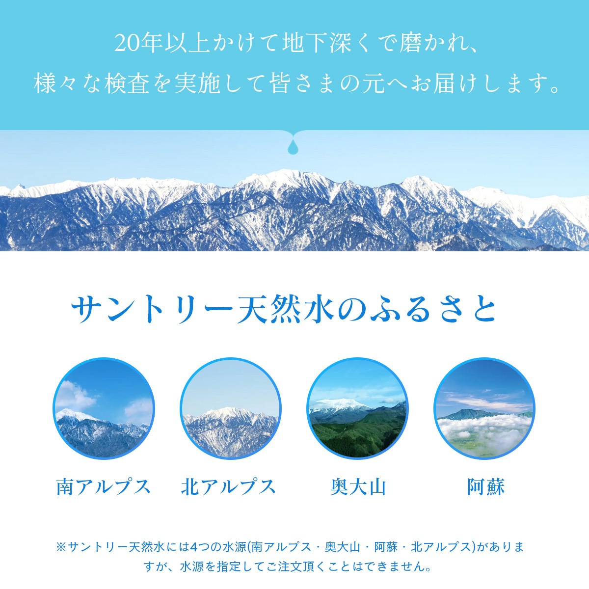 ����ȥ꡼ ŷ���� 2L ��6�� �ʥ�����ߥͥ�륦����������1��������