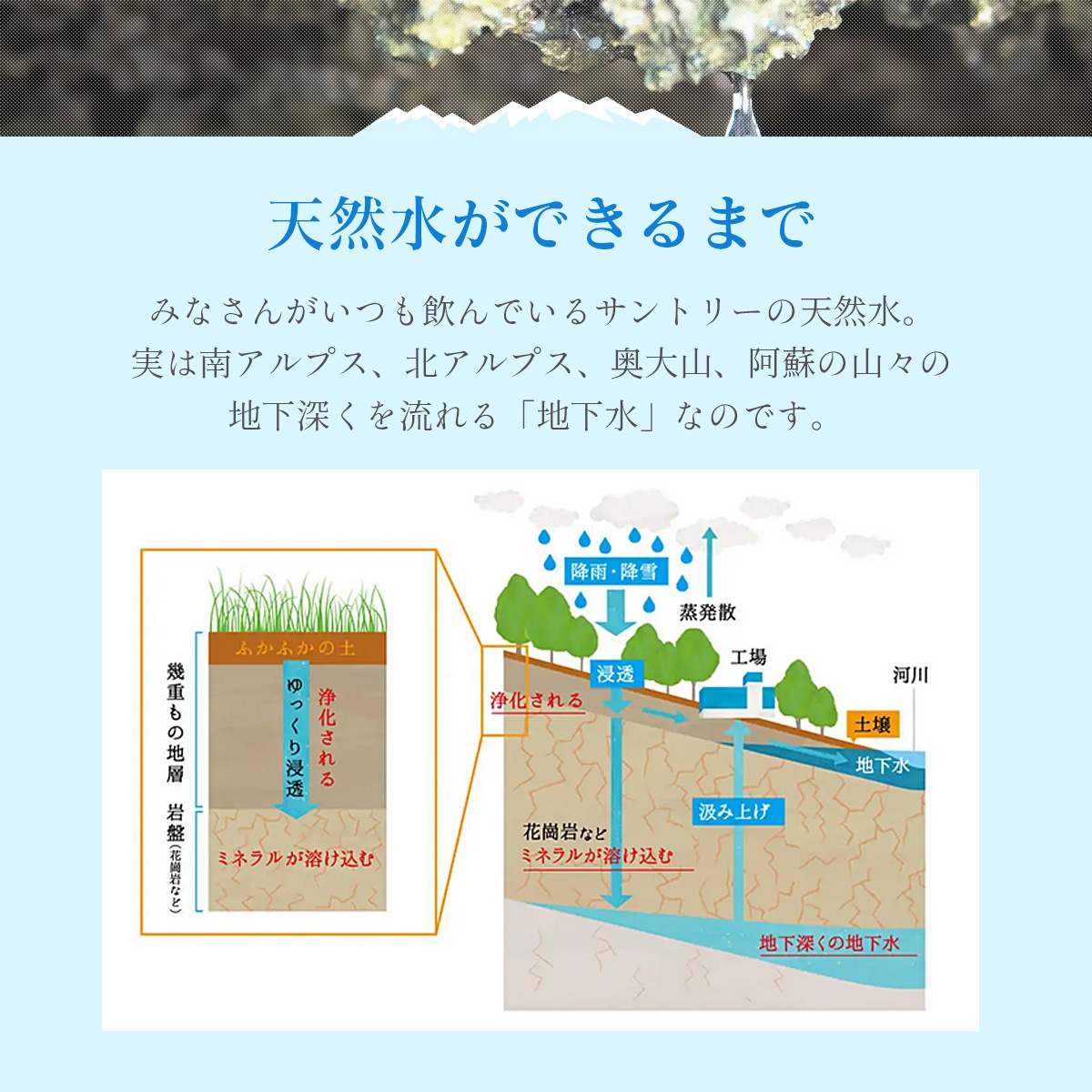 ����ȥ꡼ ŷ���� 2L ��6�� �ʥ�����ߥͥ�륦����������1��������