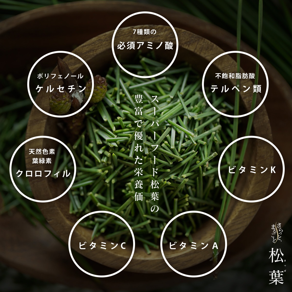 �� ������ ���եѥ����� 50g �� ����äȤޤ뤴�Ⱦ��� ��