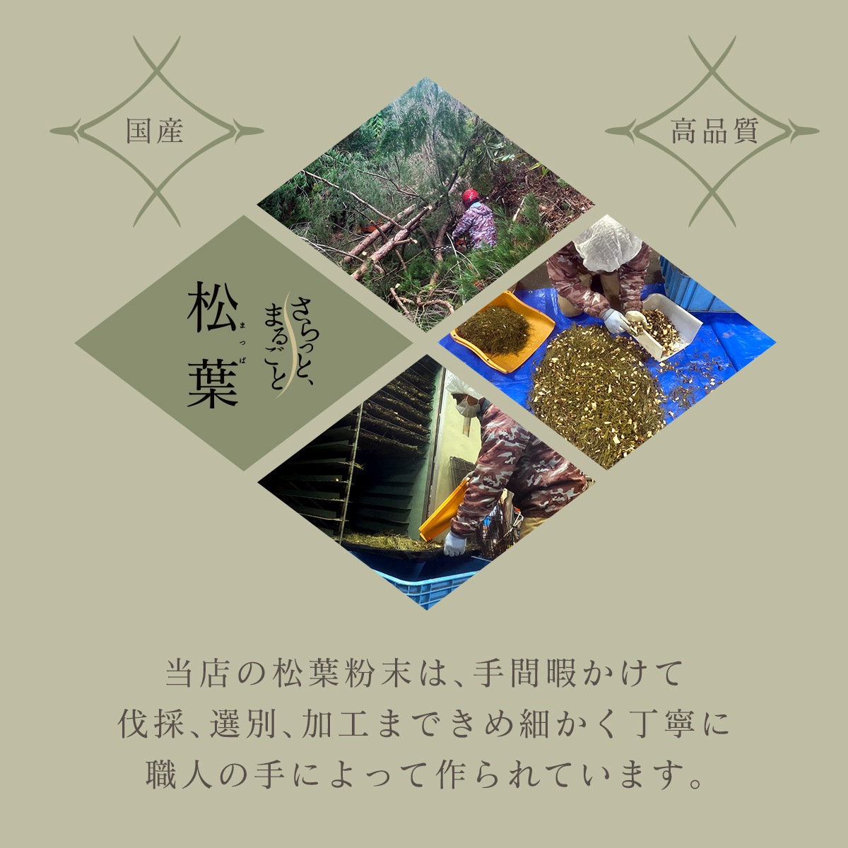 �� ������ ���եѥ����� 50g �� ����äȤޤ뤴�Ⱦ��� ��