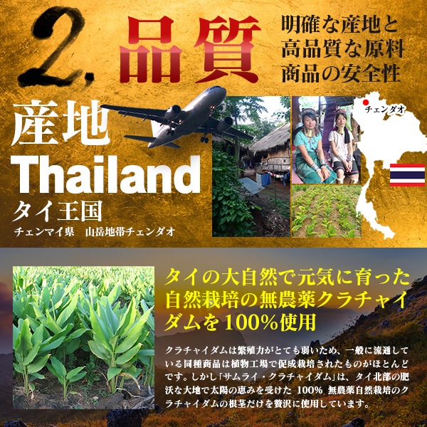 ����饤��������㥤���� 45γ (��Ⱦ��ʬ)