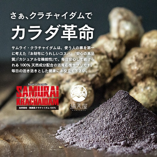 ����饤��������㥤���� 45γ (��Ⱦ��ʬ)