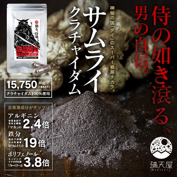 ����饤��������㥤���� 45γ (��Ⱦ��ʬ)