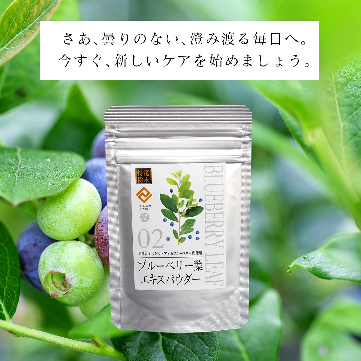 ������ʴ���ۥ֥롼�٥꡼�ե������ѥ����� 30g ���ܺ긩�� ��ӥåȥ����ϥ֥롼�٥꡼�� ���ѡ�