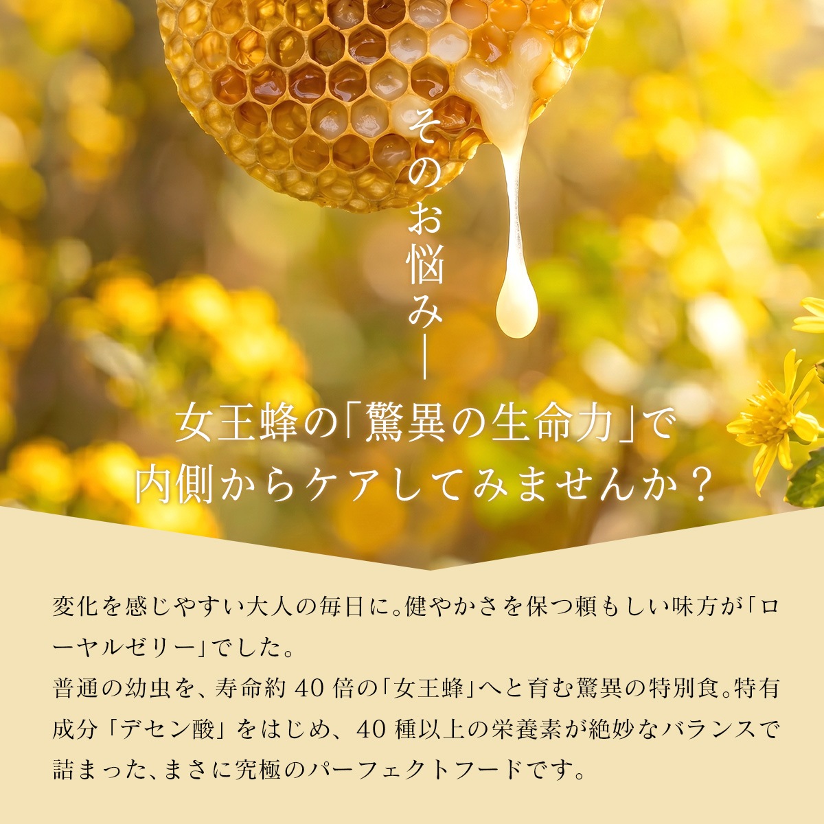 ������ʴ���ۥ�����를�꡼�ѥ����� 30g ������ĳ��ʹ⸶ �ڤβ�̪������ ���ѡ�