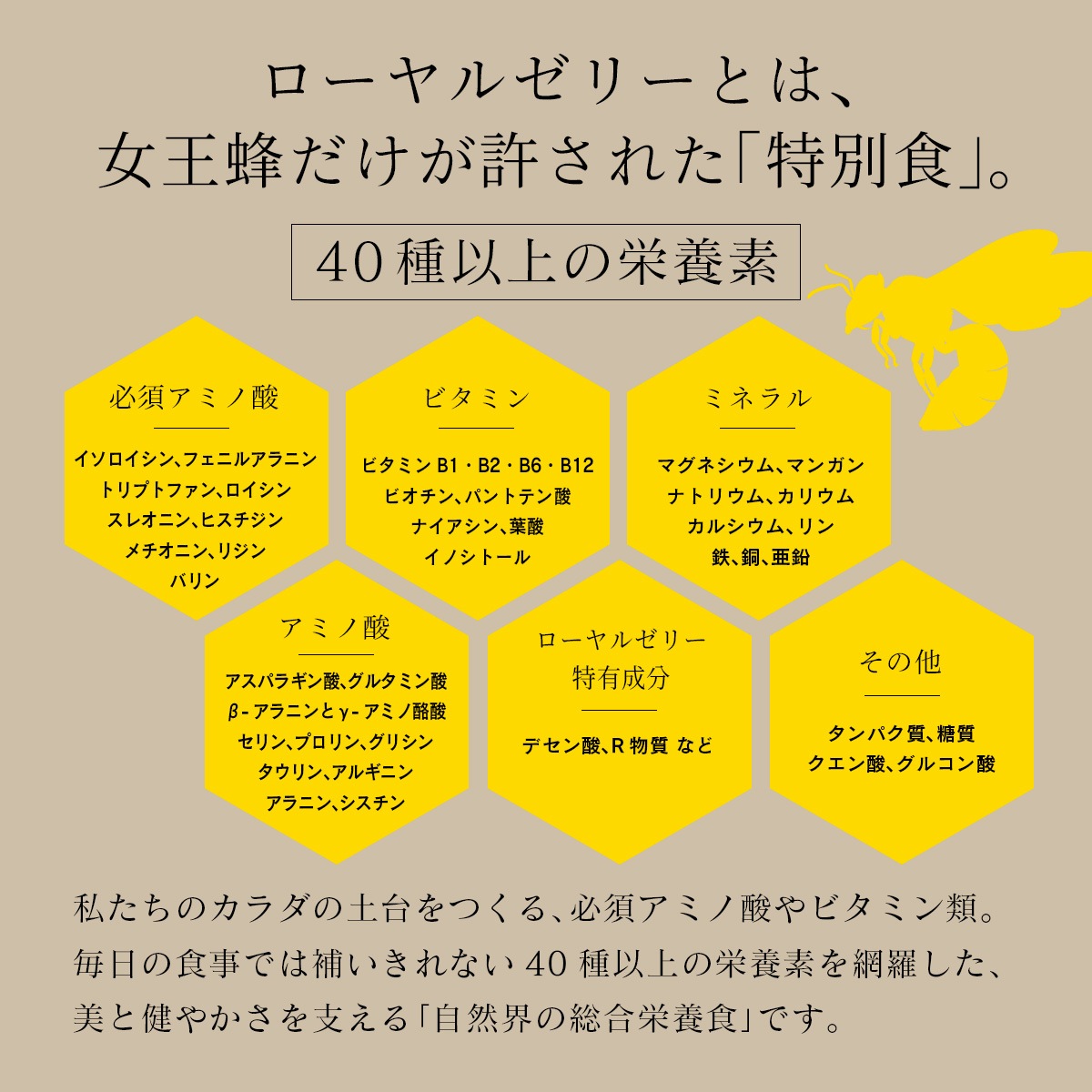 ������ʴ���ۥ�����를�꡼�ѥ����� 30g ������ĳ��ʹ⸶ �ڤβ�̪������ ���ѡ�