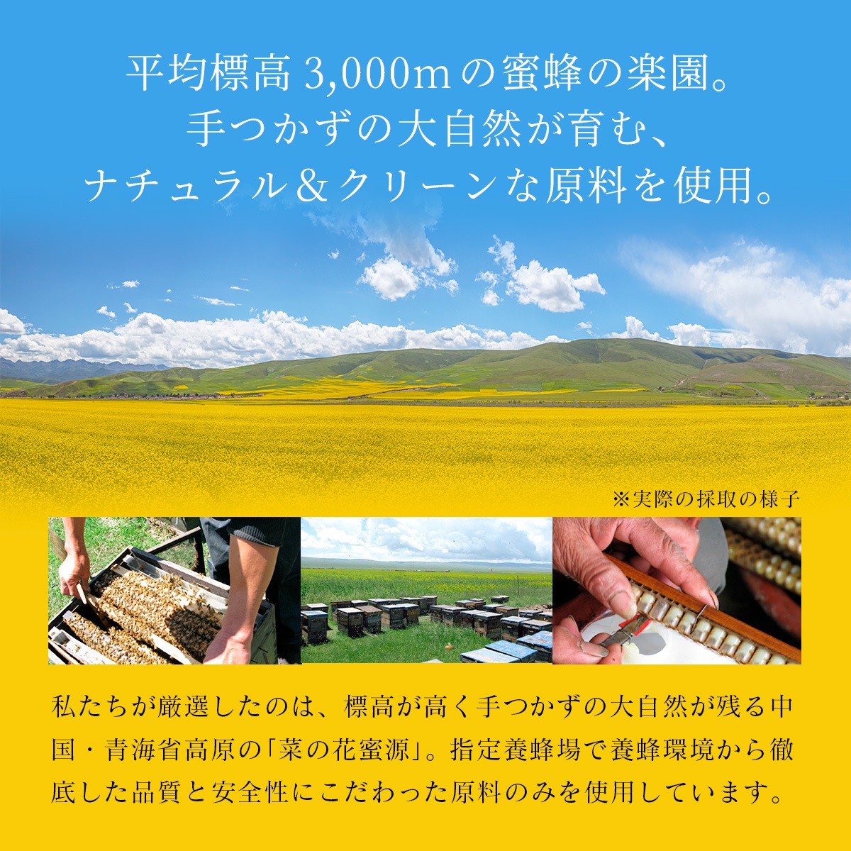 ������ʴ���ۥ�����를�꡼�ѥ����� 30g ������ĳ��ʹ⸶ �ڤβ�̪������ ���ѡ�