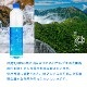  ŷ  500ml 241