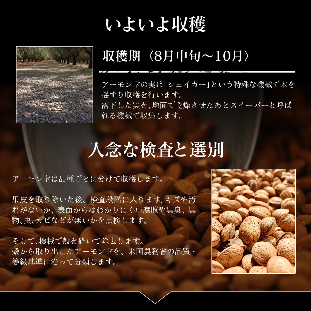 �������ȥ������� 500g