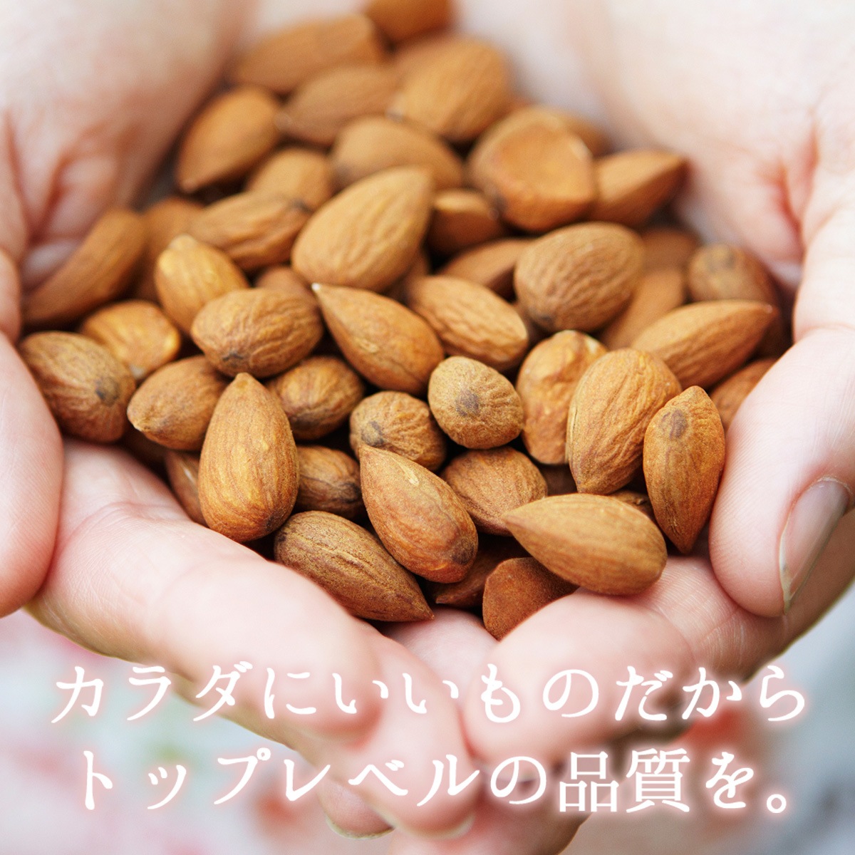�������ȥ������� 500g