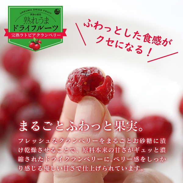 ɥ饤٥꡼ 120g ϥȥӥ٥꡼
