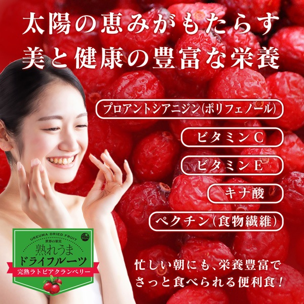 ɥ饤٥꡼ 120g ϥȥӥ٥꡼