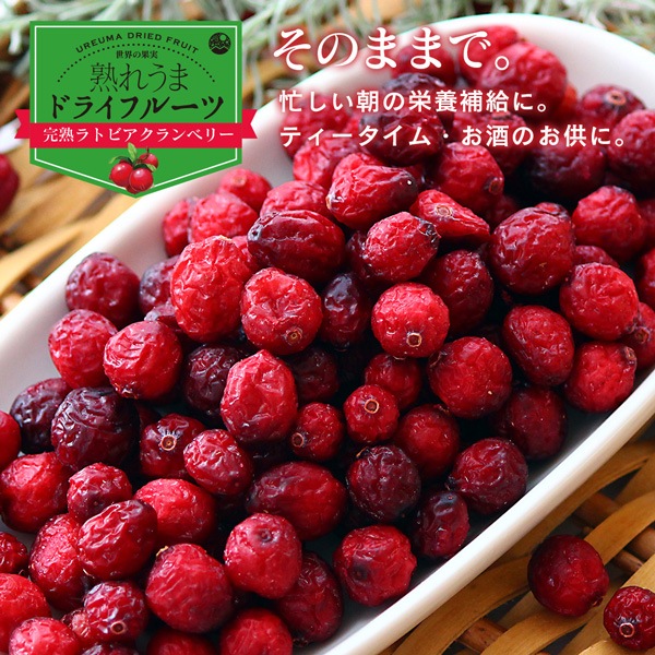 ɥ饤٥꡼ 120g ϥȥӥ٥꡼
