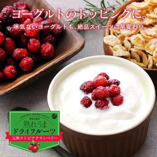 ɥ饤٥꡼ 120g ϥȥӥ٥꡼