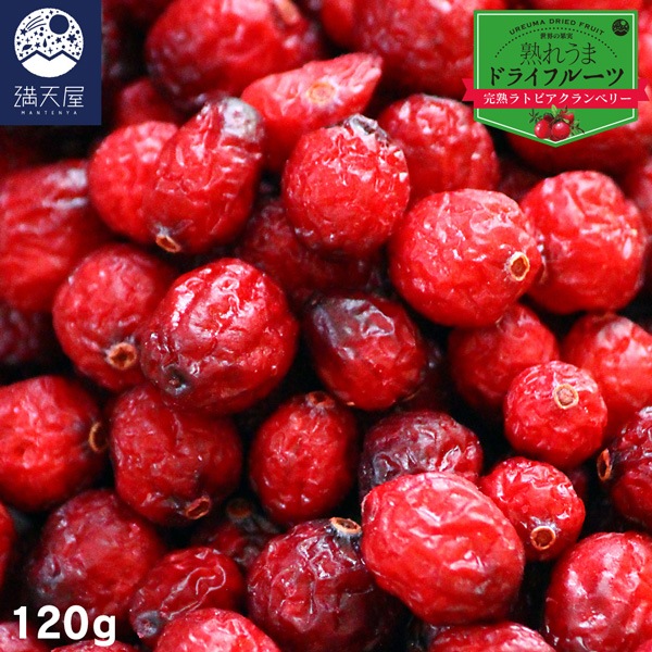 ɥ饤٥꡼ 120g ϥȥӥ٥꡼