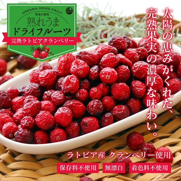 ɥ饤٥꡼ 120g ϥȥӥ٥꡼